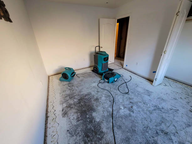 Best Water damage restoration near me  in Copperopolis, CA