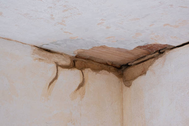  Copperopolis, CA Water damage restoration Pros