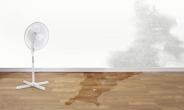 Best Ceiling water damage repair  in Copperopolis, CA