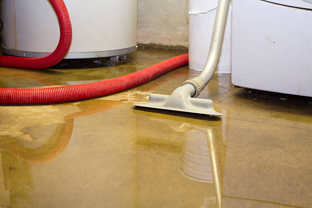 Best Water damage contractors near me  in Copperopolis, CA