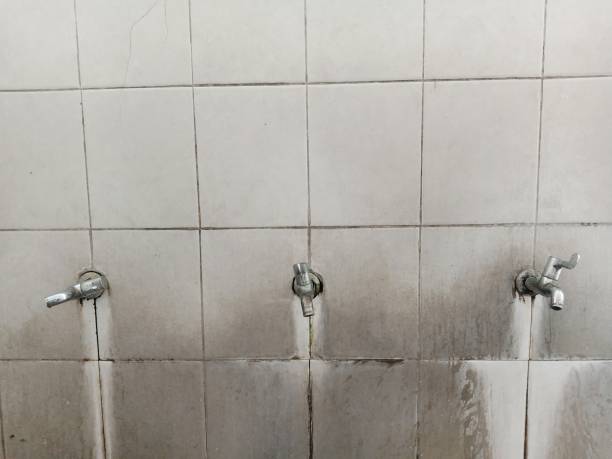 Best Flood restoration services  in Copperopolis, CA