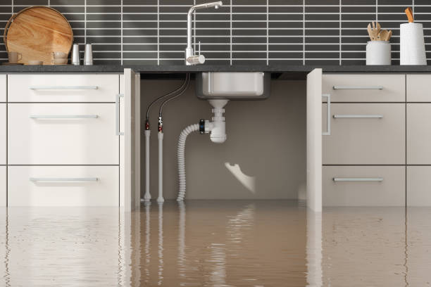 Best Sewage cleanup and water damage restoration  in Copperopolis, CA